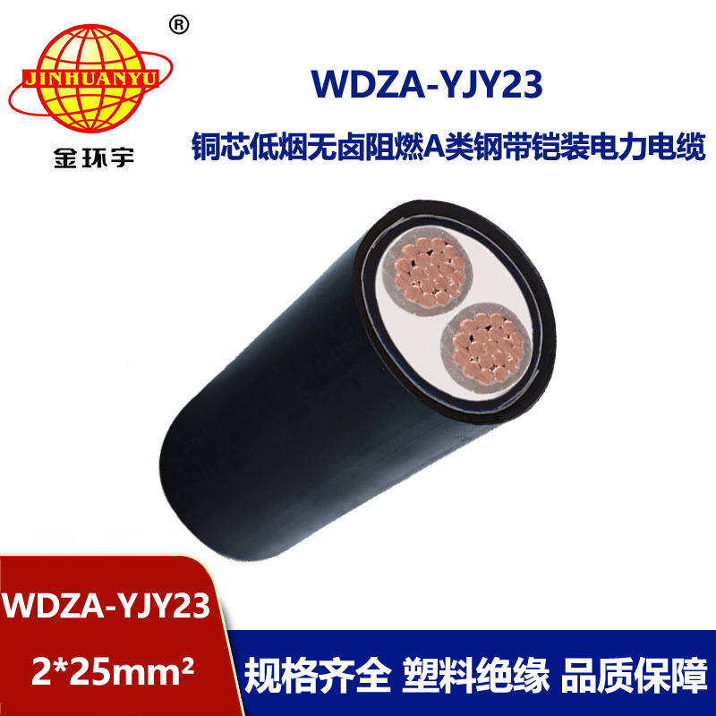金环宇电缆 铜芯电力电缆WDZA-YJY23-2x25低烟无卤阻燃a类电缆
