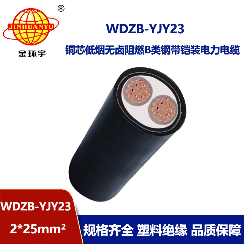 金环宇电缆 2芯电力电缆 b级阻燃低烟无卤电缆WDZB-YJY23-2X25平方